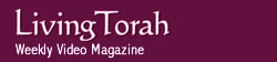 Living Torah Weekly Magazine